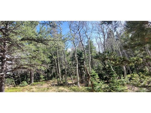 2560 Grojean Dr, Fort Garland, CO, 81133 | Card Image