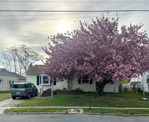 318 Linden Ln, Rio Grande, NJ, 08242-1440 | Card Image