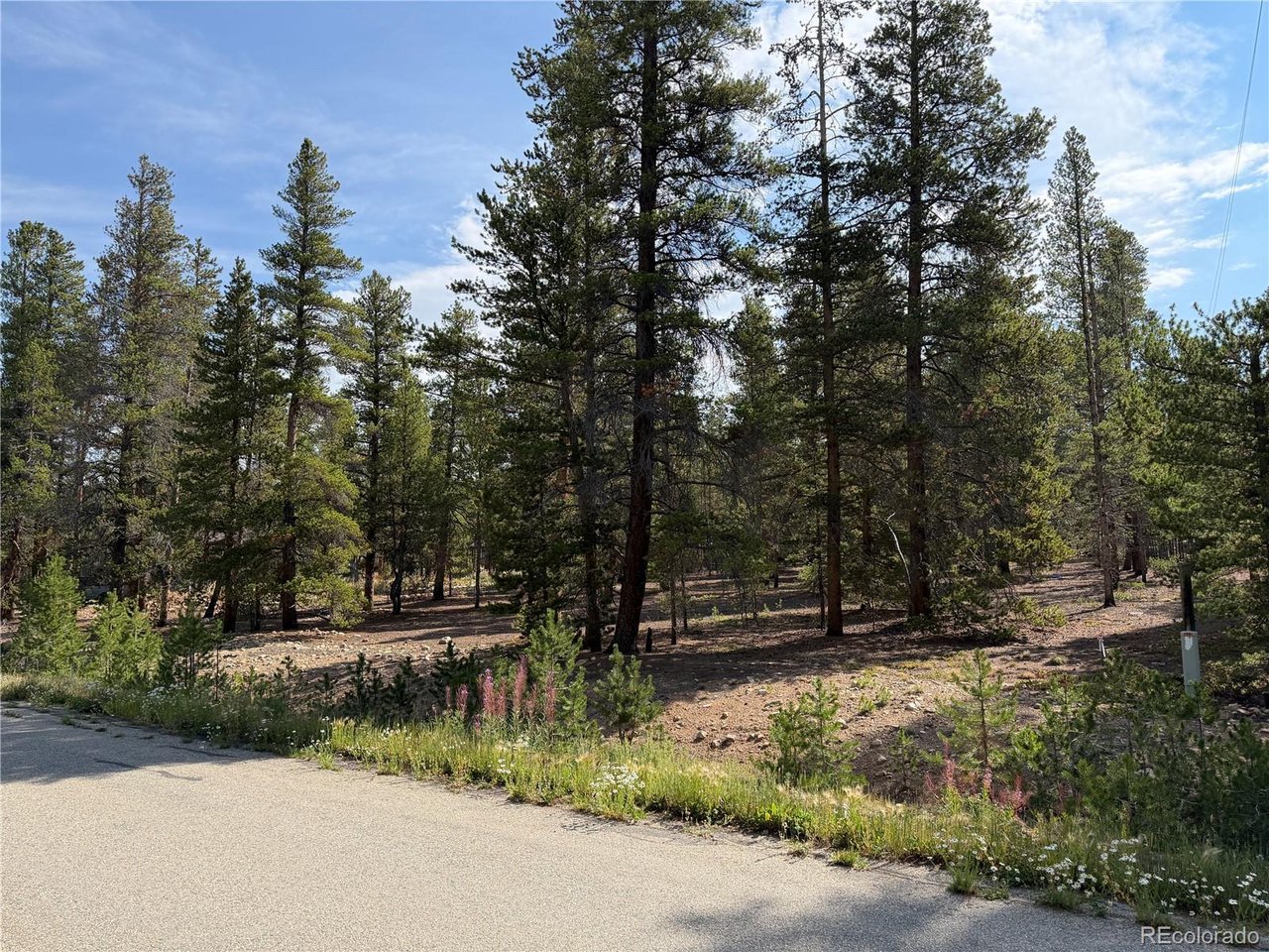 Land in Leadville 2