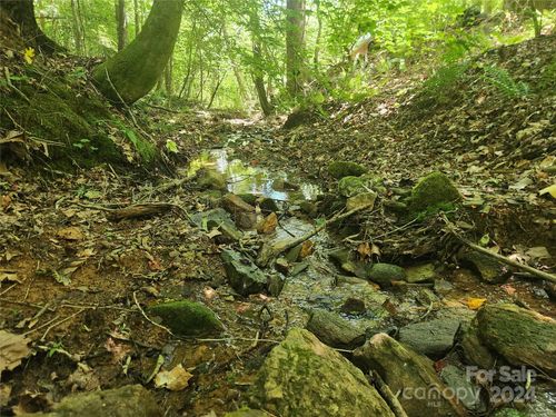 1762 Russell Gap Rd, Moravian Falls, NC, 28654-9747 | Card Image