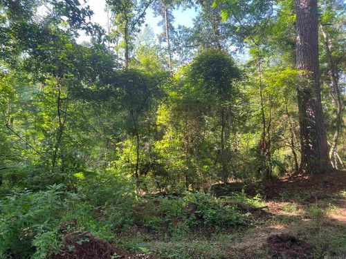 Lot 1 Hepzibah Rd, Clinton, LA, 70722 | Card Image