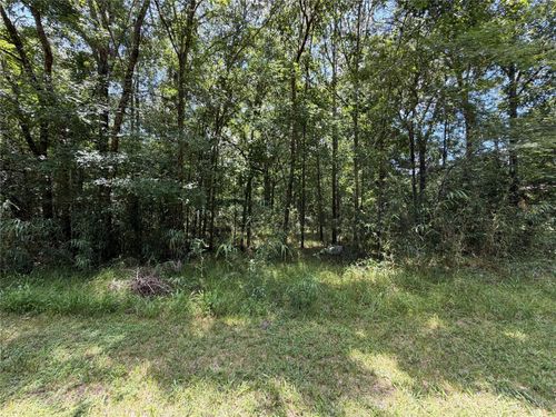 Lot 119 Miller Drive, Cleveland, TX, 77327 | Card Image