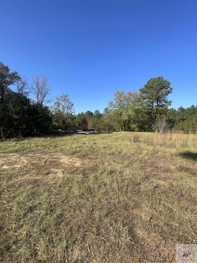 1407 Miller County 3, Home with 0 bedrooms, 0 bathrooms and null parking in Doddridge AR | Image 11