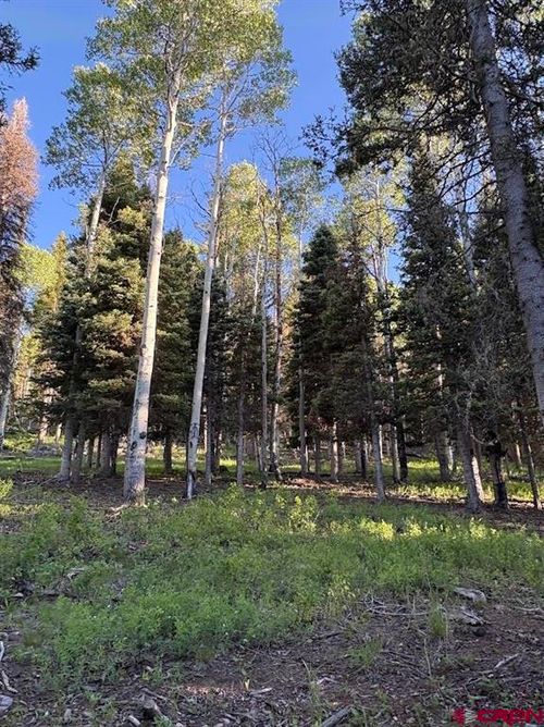 447 Ute Dr, Cimarron, CO, 81220-9557 | Card Image
