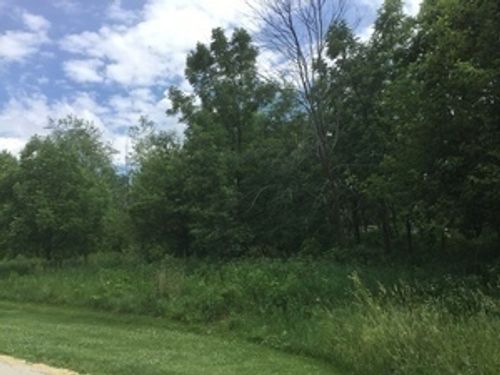 LOT 4 Williams Cir, Genoa, IL, 60135 | Card Image