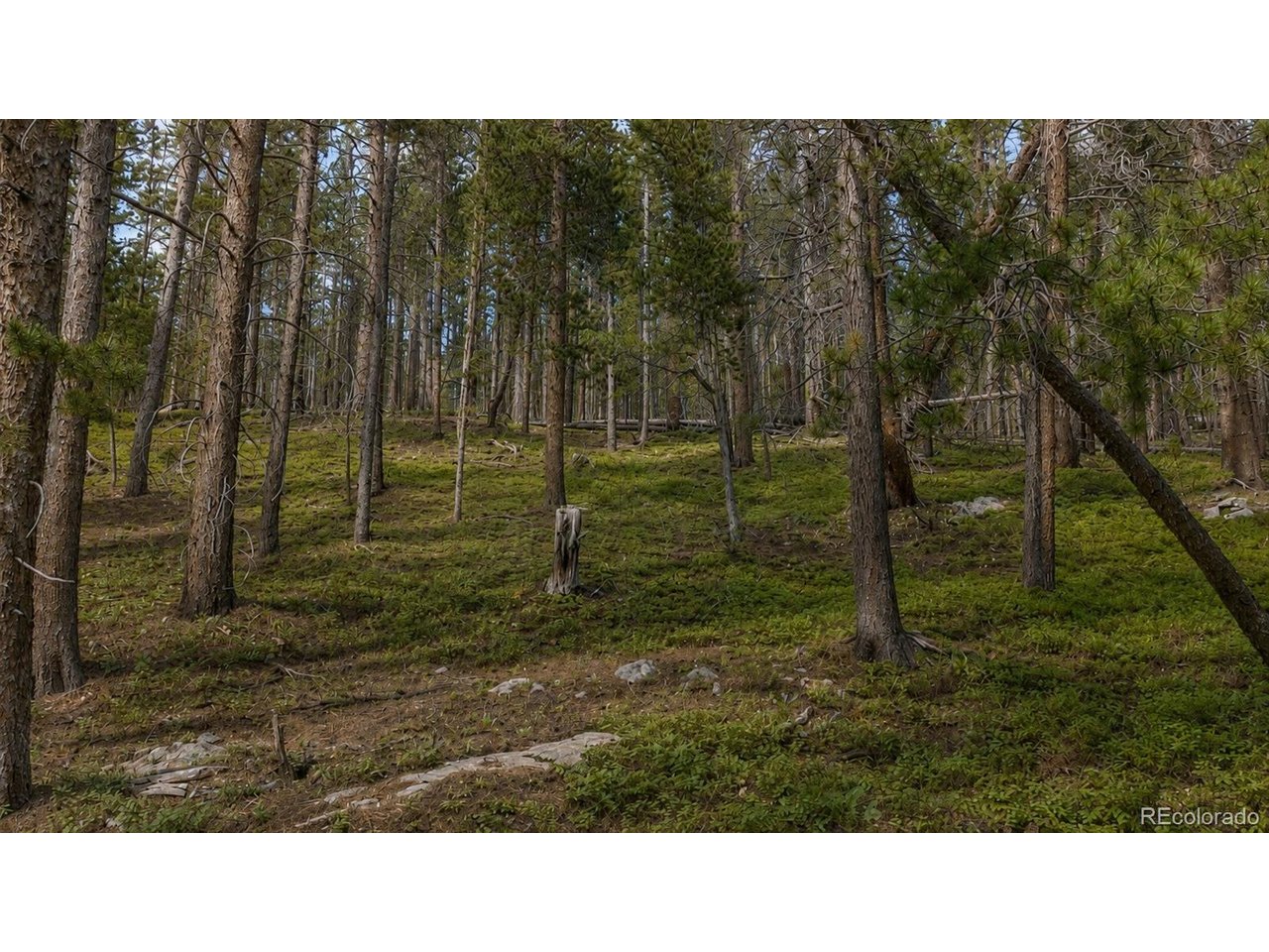 Land in Idaho Springs