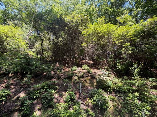 00 Old Bear Ridge Rd, Scaly Mountain, NC, 28775 | Card Image