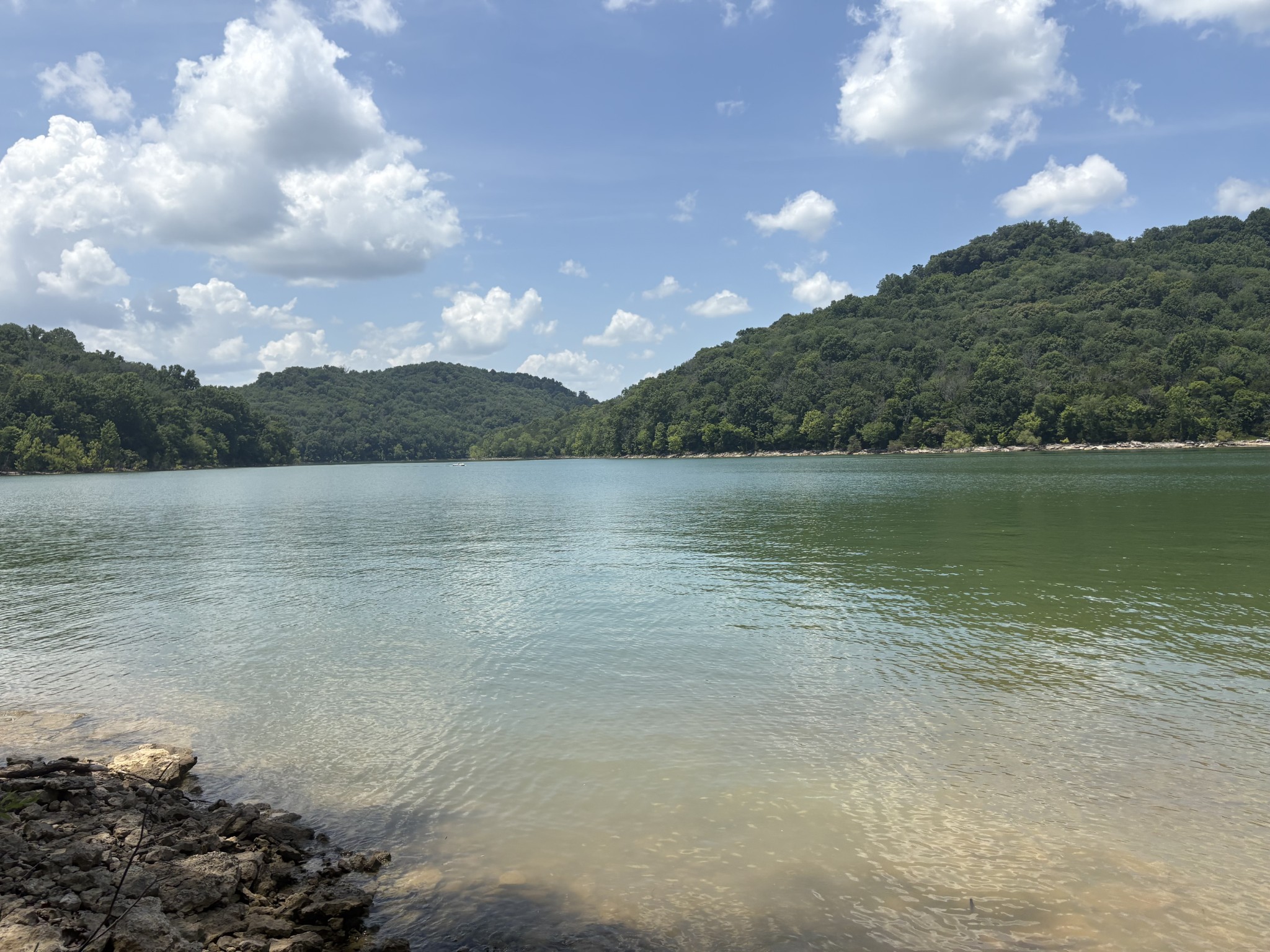 Land in Smithville 5