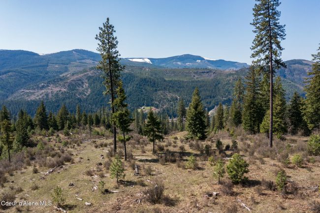 262 North Side Road, Home with 0 bedrooms, 0 bathrooms and null parking in Calder ID | Image 43