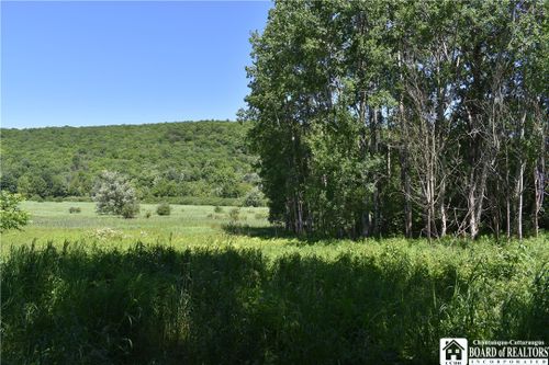 0 Farrington Hollow Rd, Cherry Creek, NY, 14723 | Card Image