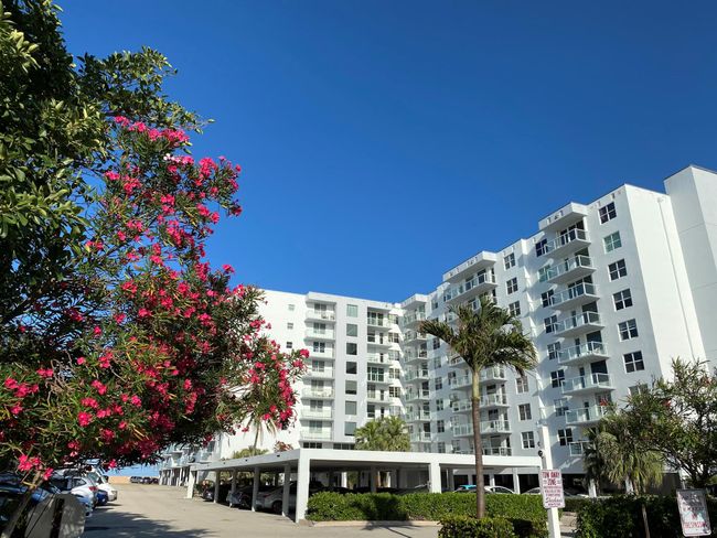 APT-328 - 3450 S Ocean Blvd, Condo with 1 bedrooms, 1 bathrooms and null parking in Palm Beach FL | Image 47