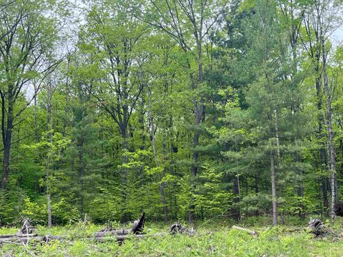 parcel D Theron Road, Blair Township, MI, 49685 | Card Image