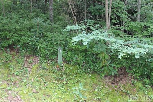 32 Whitewater Ridge Rd, Sapphire, NC, 28774 | Card Image