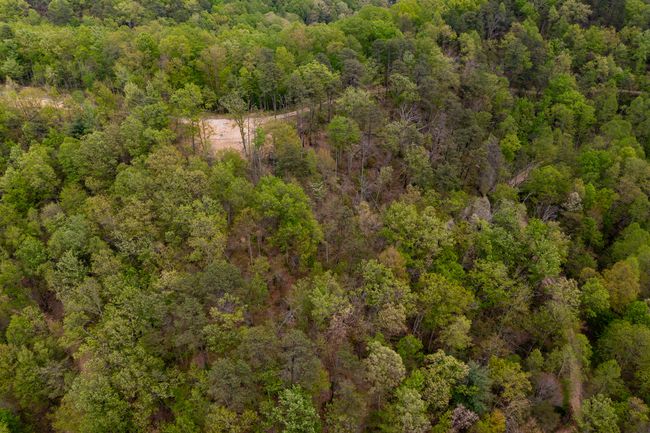 9999 Highway 52 E, Home with 0 bedrooms, 0 bathrooms and null parking in Beattyville KY | Image 5