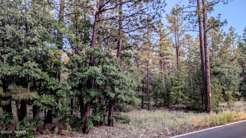 2095 S Pine Lake Road, Pinetop, AZ, 85935 | Card Image