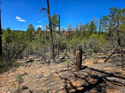 2953 S White Mountain, Show Low, AZ, 85901 | Card Image