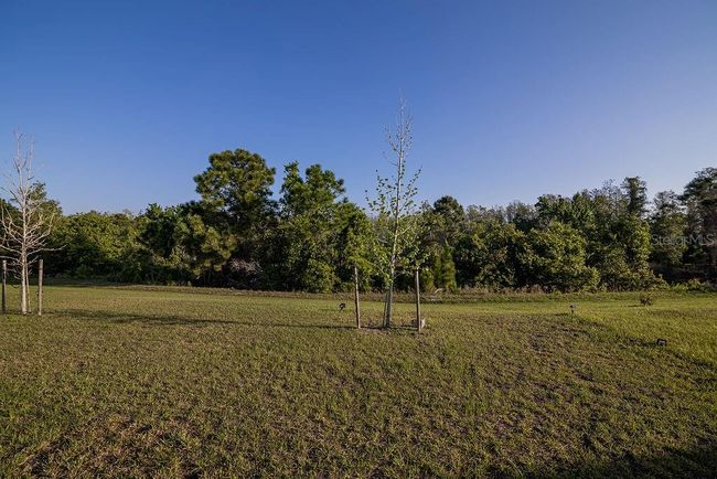 2937 Hooded Crane Cv, House other with 4 bedrooms, 4 bathrooms and null parking in HARMONY FL | Image 29