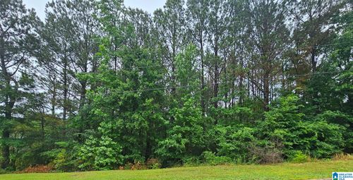 32-Lot 32 Maynor Ln, ONEONTA, AL, 35121 | Card Image