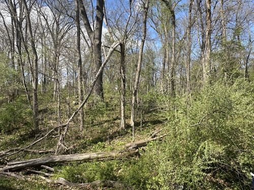 0 Lake Thunderbird Dr, Putnam, IL, 61560 | Card Image