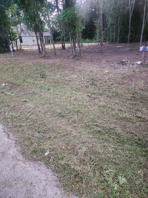 1 N Railroad Ave, Shepherd, TX, 77371 | Card Image