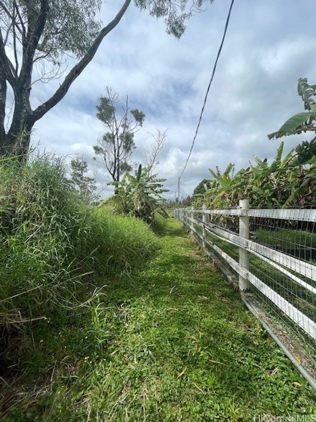 looking up towards Kaumana Drive this is the neighbors fence line | Image 19