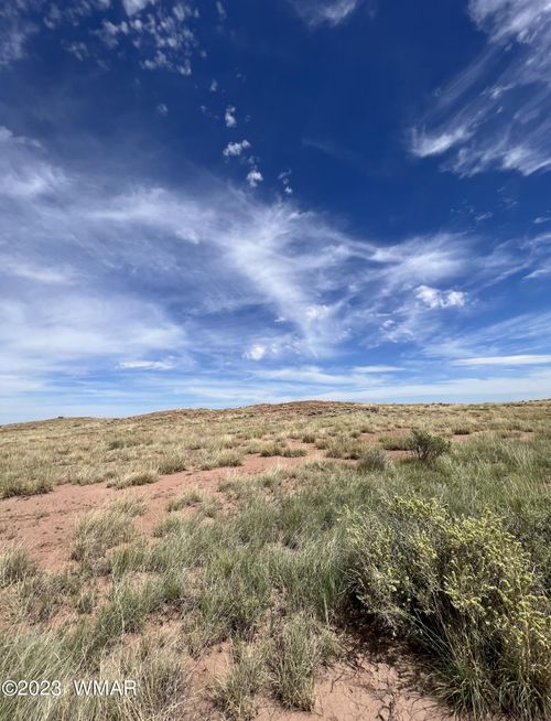 46 County Road 6019, Saint Johns, AZ, 85936 | Card Image