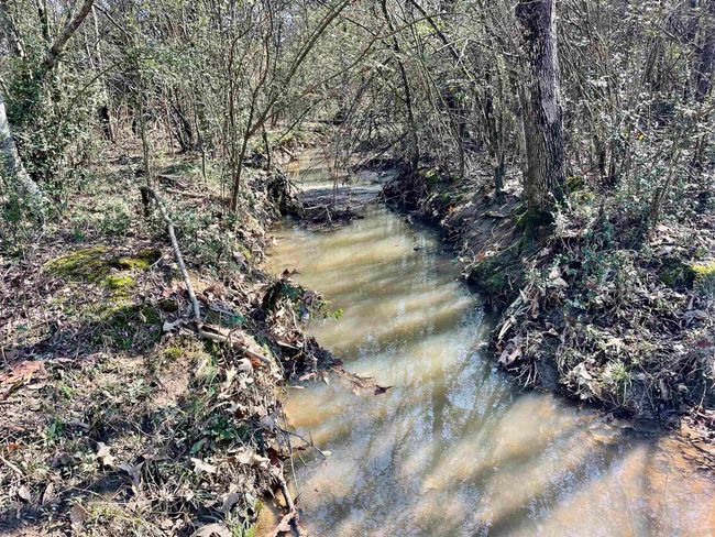 000 Brewer Rd, Home with 0 bedrooms, 0 bathrooms and null parking in Conway AR | Image 20