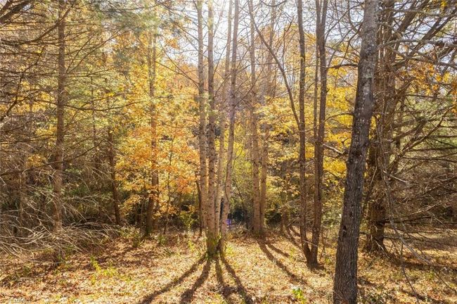 0 Laurel Creek Rd Ne, Home with 0 bedrooms, 0 bathrooms and null parking in Pilot VA | Image 28