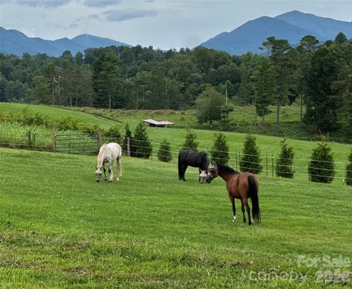 1552 Bear Creek Rd, Leicester, NC, 28748-6316 | Card Image