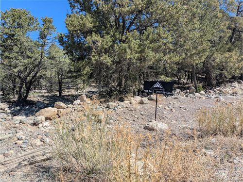 2202 Spanish Creek Rd, Crestone, CO, 81131 | Card Image