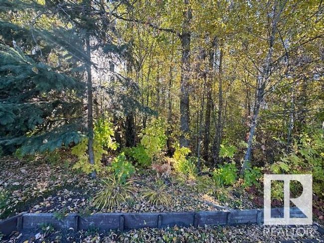 8 Morel Cres, House other with 3 bedrooms, 3 bathrooms and 6 parking in Spruce Grove AB | Image 45
