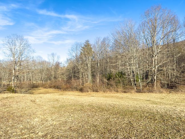 92 Acres Laurel Fork Rd, Home with 0 bedrooms, 0 bathrooms and null parking in Rocky Gap VA | Image 25