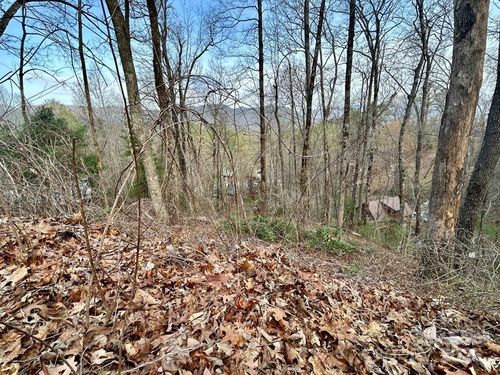 6-Lot 6 Biltmore Cir, Bryson City, NC, 28713-6282 | Card Image