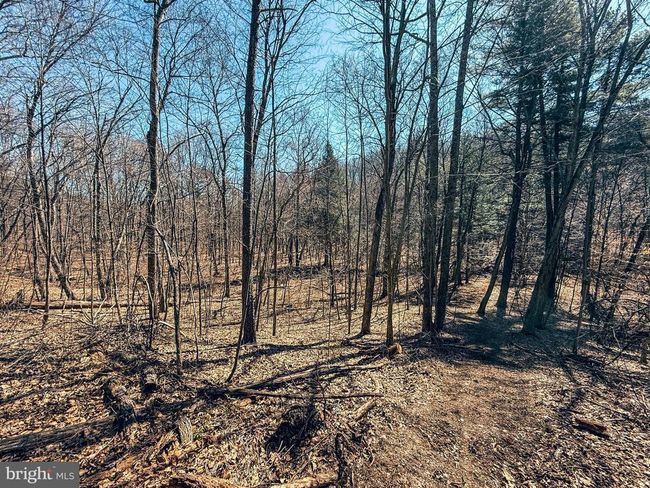 0 Mahanoy Valley Rd, Home with 0 bedrooms, 0 bathrooms and null parking in DUNCANNON PA | Image 29