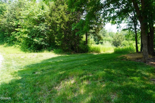15 Raindrop Ln, Home with 0 bedrooms, 0 bathrooms and null parking in Jefferson City TN | Image 4