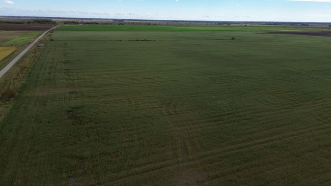 DJI_0019.JPG | Image 11