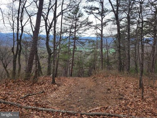 0 Lightning Ln, FULKS RUN, VA, 22830 | Card Image