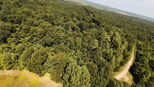 2 County Road 449, Pollard, AR, 72456 | Card Image