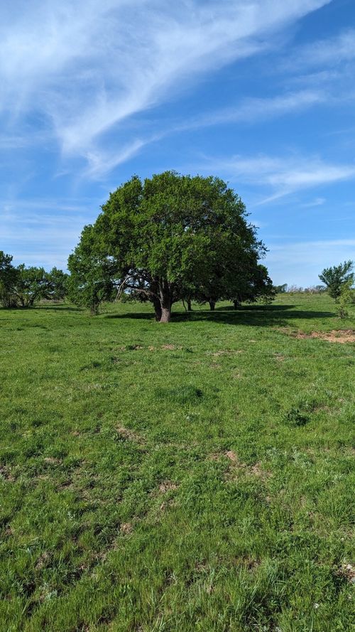 TBD High Plains Trail, Bellevue, TX, 76228 | Card Image