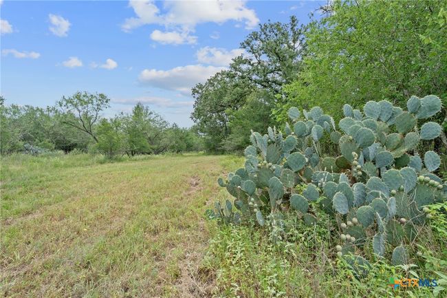 3597 Baker Rd, Home with 0 bedrooms, 0 bathrooms and null parking in Kingsbury TX | Image 27