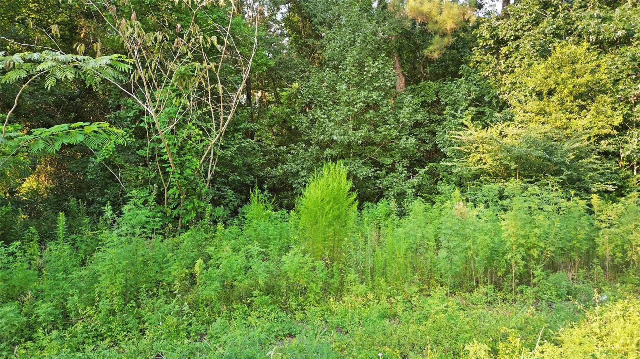 Land in New Caney 4