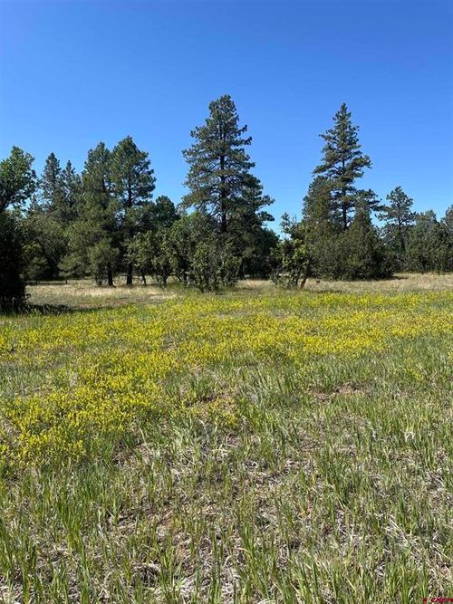 256 Heath Drive, Pagosa Springs, CO, 81147 | Card Image