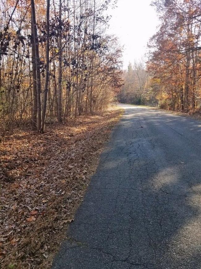 lot 2 Lowry Road, Home with 0 bedrooms, 0 bathrooms and null parking in Goochland VA | Image 1