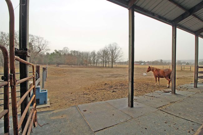 7750 Pine Rd, House other with 3 bedrooms, 2 bathrooms and null parking in ARENA WI | Image 66