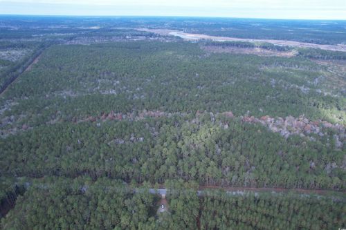 Tract D - TBD Pennyroyal Rd., Georgetown, SC, 29440 | Card Image