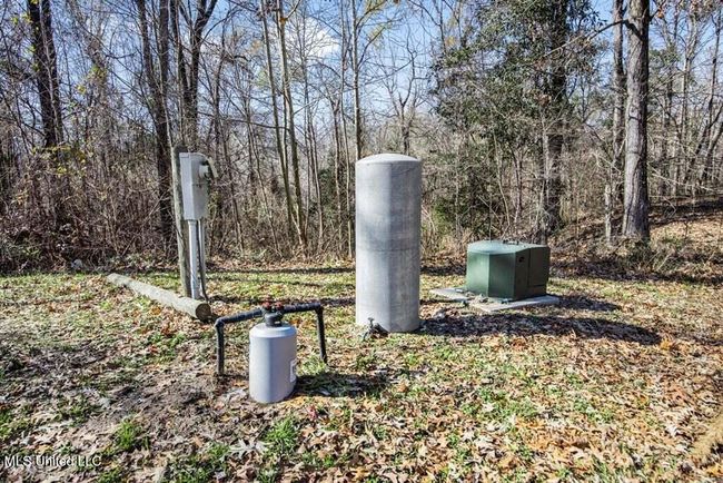 20250707195750894353000000-o | Image 13