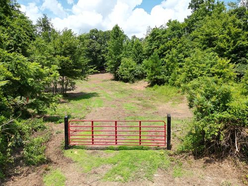 Tract 9 Sheep Ranch Rd, Robbins, TN, 37852 | Card Image