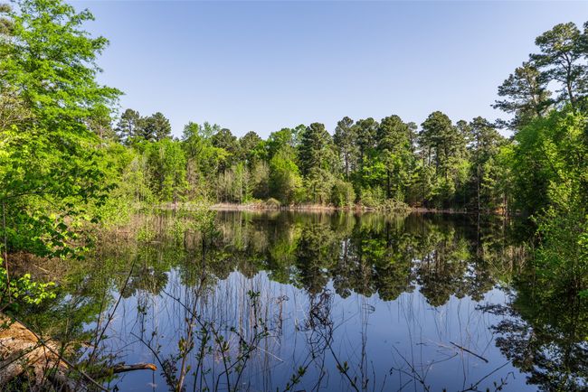 1 County Rd, Home with 0 bedrooms, 0 bathrooms and null parking in Leesburg TX | Image 4