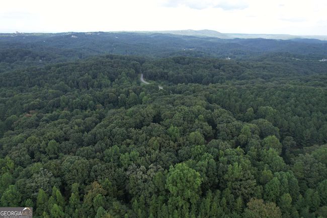 0 Peach Orchard Dr, Home with 0 bedrooms, 0 bathrooms and null parking in Alto GA | Image 23