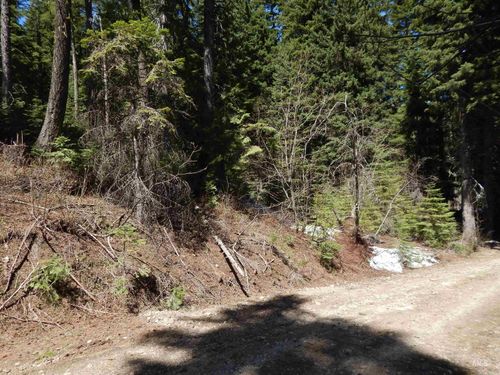 1601 Bear Trail Loop, Donnelly, ID, 83615 | Card Image